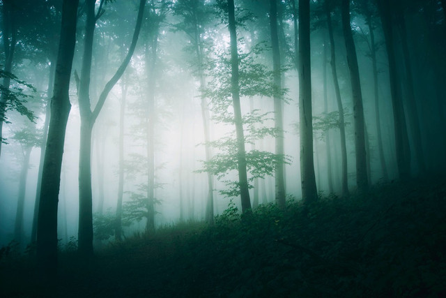 Biet gi ve hon dao ky bi ma Lien Xo dieu quan giai ma?-Hinh-8