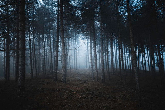 Biet gi ve hon dao ky bi ma Lien Xo dieu quan giai ma?-Hinh-4