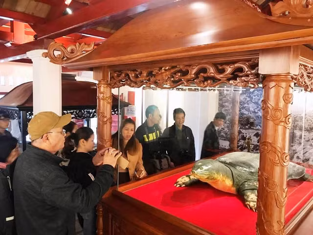 Chiem nguong tieu ban cu rua ho Guom tai den Ngoc Son-Hinh-2