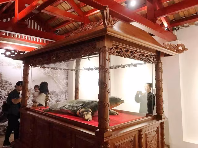 Chiem nguong tieu ban cu rua ho Guom tai den Ngoc Son