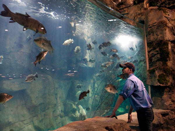 Hé lộ bí mật về kim tự tháp nổi tiếng nước Mỹ - Hình 9 He lo bi mat ve kim tu thap noi tieng nuoc My-Hinh-9