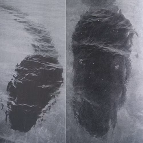 Nhung buc anh kho giai nhat the gioi-Hinh-3