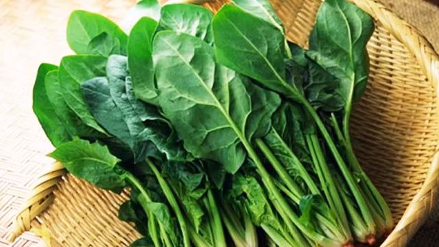 Tong My Linh bi ung thu van song tho 106 tuoi nho loai rau nay?-Hinh-8