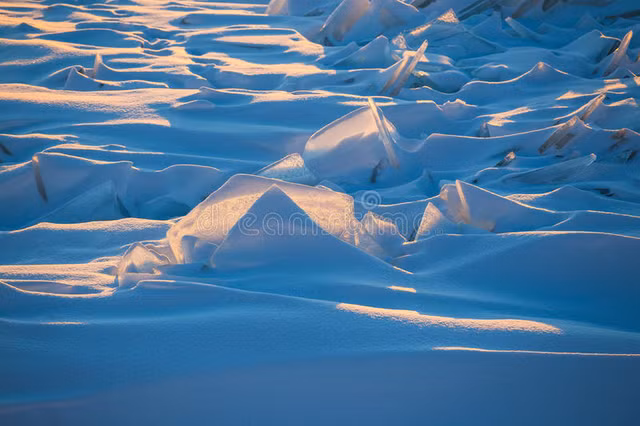 Dieu it biet ve sa mac lanh lon nhat the gioi-Hinh-3