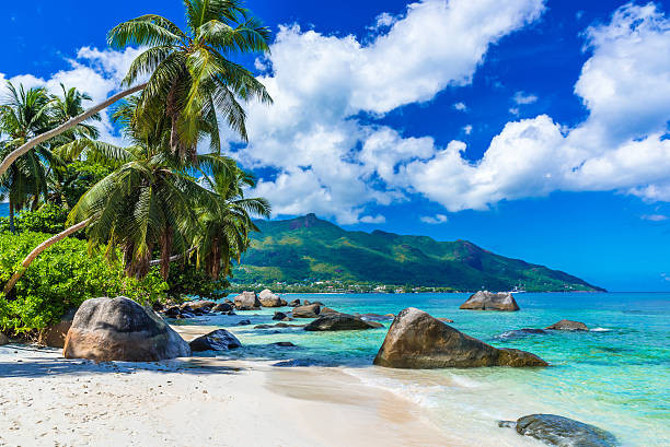 Đi xem hòn đảo chôn giấu kho báu khổng lồ ở Seychelles Di xem hon dao chon giau kho bau khong lo o Seychelles