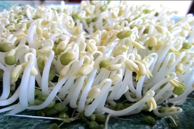4 món ngon từ giá đỗ giúp quý ông tăng ham muốn "yêu" - Hình 3 4 mon ngon tu gia do giup quy ong tang ham muon