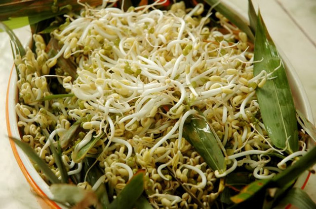 4 món ngon từ giá đỗ giúp quý ông tăng ham muốn "yêu" 4 mon ngon tu gia do giup quy ong tang ham muon