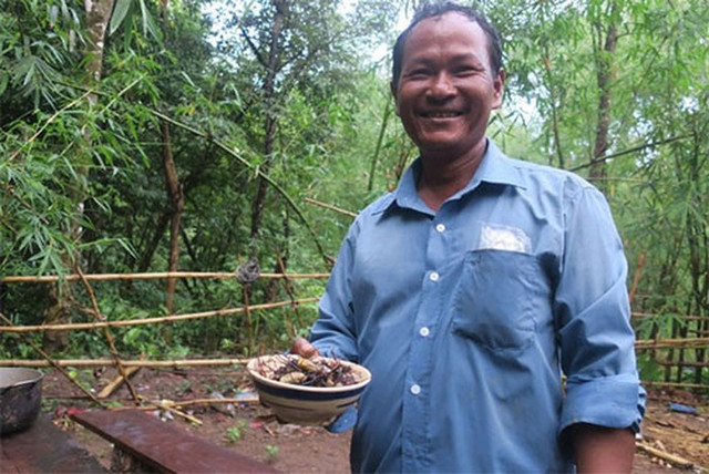 Khám phá món nhện rừng khổng lồ đặc sản hiếm có ở Bình Thuận - Hình 6 Kham pha mon nhen rung khong lo dac san hiem co o Binh Thuan-Hinh-6