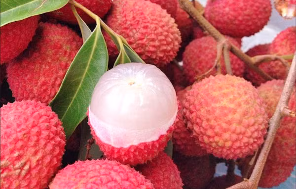 Chong tham nam, chay nang chi voi...5 qua vai-Hinh-2