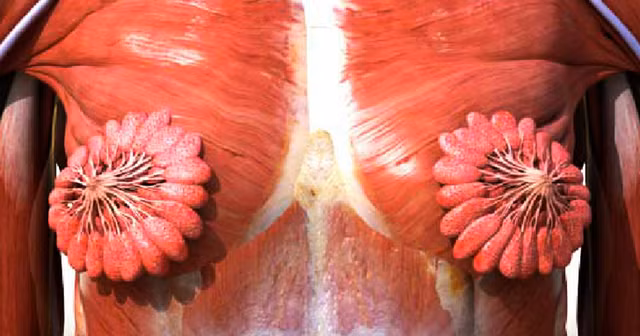 10 su that ve phu nu ma ngay den chinh ho...cung chua chac da biet