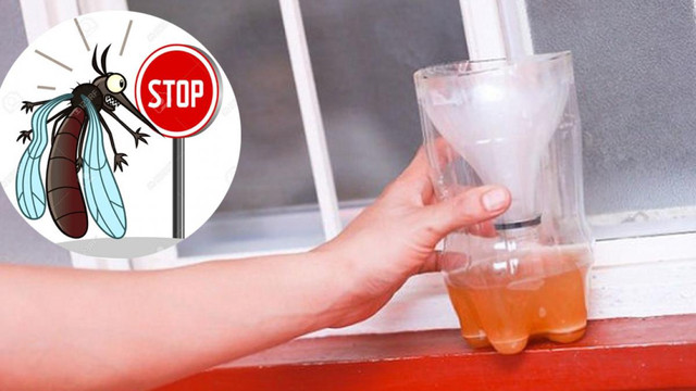 Cách đuổi sạch muỗi ra khỏi phòng đơn giản nhanh chóng - Hình 4 Cach duoi sach muoi ra khoi phong don gian nhanh chong-Hinh-4