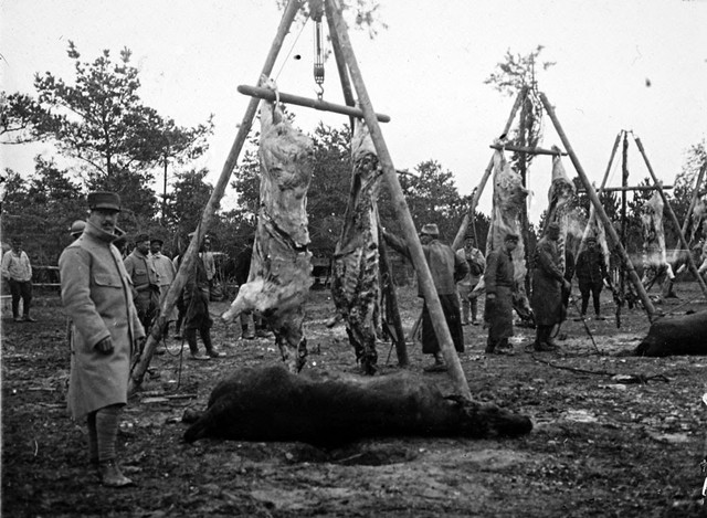 Loạt ảnh chiến trường Thế chiến thứ nhất ám ảnh người nhìn - Hình 7 Loat anh chien truong The chien thu nhat am anh nguoi nhin-Hinh-7