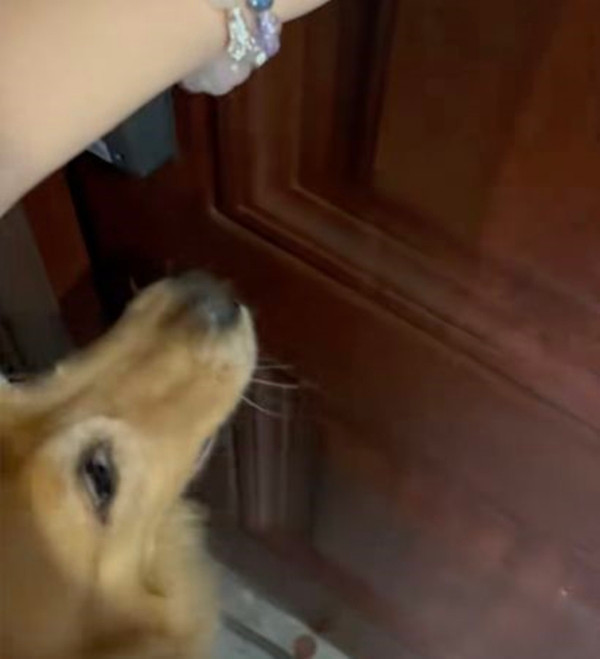 Cho cung hanh dong cuu mang ca toa nha-Hinh-2