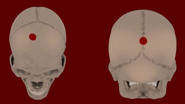 Hé lộ bí mật khủng khiếp của đế chế Inca qua những hộp sọ - Hình 3 He lo bi mat khung khiep cua de che Inca qua nhung hop so-Hinh-3