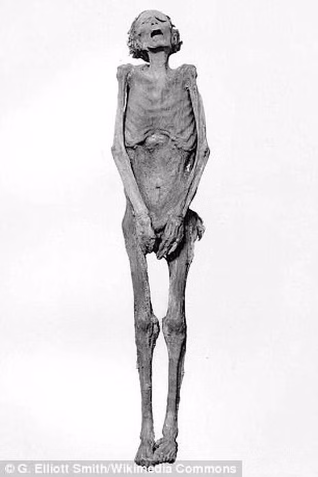 Am anh xac uop hoang tu Ai Cap-Hinh-2