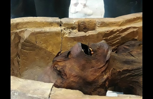 Am anh xac uop hoang tu Ai Cap-Hinh-10