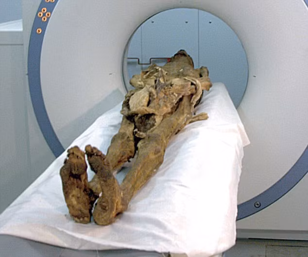 Am anh xac uop hoang tu Ai Cap-Hinh-8