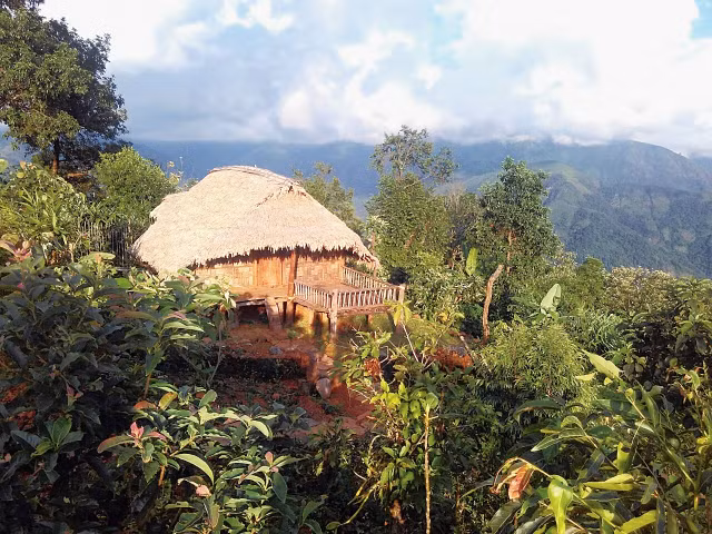 Doc dao ngoi lang goi ten nhau bang tieng huyt sao-Hinh-8