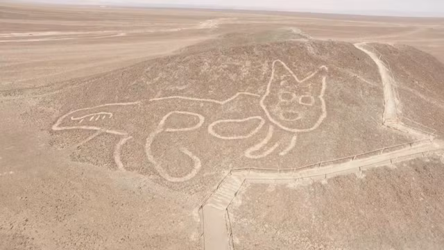 Phat hien hinh meo khong lo 2.000 tuoi o Peru-Hinh-4