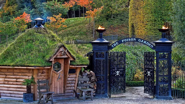 Khu vuon “chet choc” voi hon 100 loai cay doc chet nguoi