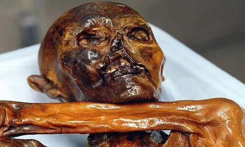 Bí ẩn lời nguyền xác ướp cổ nhất châu Âu đoạt mạng 7 người - Hình 10 Bi an loi nguyen xac uop co nhat chau Au doat mang 7 nguoi-Hinh-10