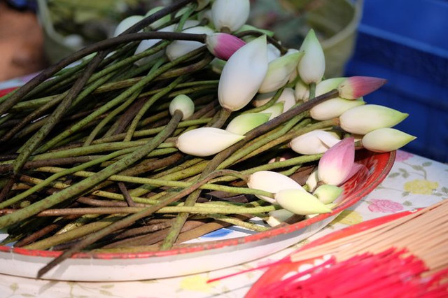 Những điều nên và không nên làm với phụ nữ mang thai ở các nước - Hình 14 Nhung dieu nen va khong nen lam voi phu nu mang thai o cac nuoc-Hinh-14
