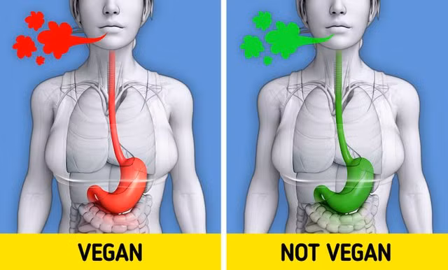An chay truong se khien co the xay ra nhung dieu nay-Hinh-8