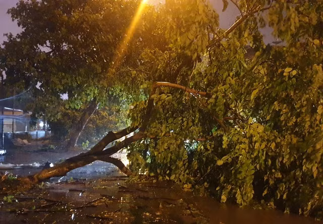 Ha Noi mua lon khi bao so 3 suy yeu thanh ap thap nhiet doi-Hinh-2