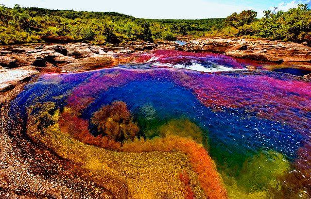 Bi an 3 dia diem la lung tren Trai dat-Hinh-10