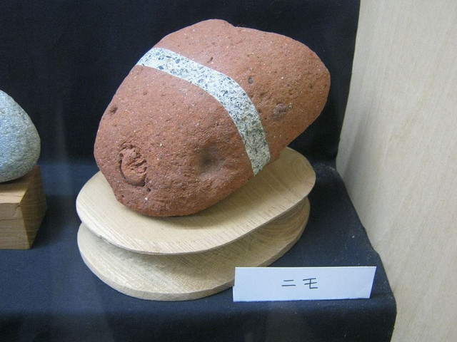 Thu vi bao tang trung bay nhung tang da giong het mat nguoi-Hinh-4