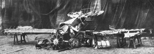 Chan dung phi cong lai may bay do tieu diet 80 may bay dich trong The chien 1-Hinh-10