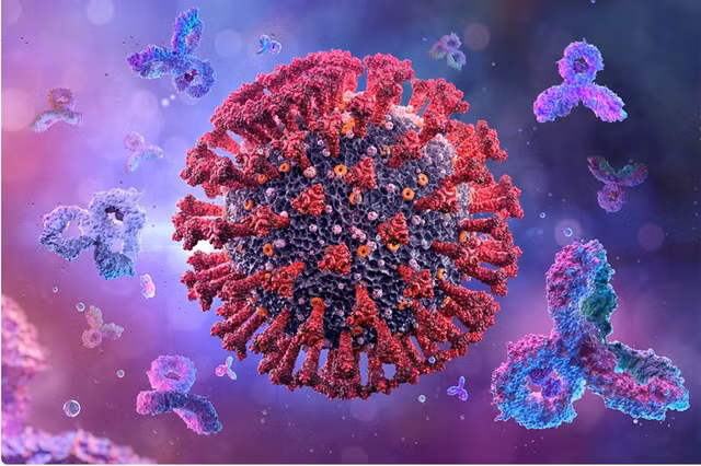 COVID-19: Cac nuoc doi pho the nao voi bien chung B.1.1.529?