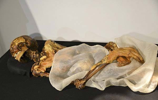 Chạm vào xác ướp công chúa, “lời nguyền” ngàn năm liên tiếp ứng nghiệm? - Hình 4 Cham vao xac uop cong chua, “loi nguyen” ngan nam lien tiep ung nghiem?-Hinh-4