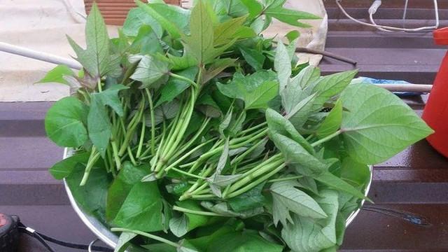 3 món ăn rẻ tiền bổ huyết dưỡng khí, giải độc dưỡng gan vạn người mê - Hình 4 3 mon an re tien bo huyet duong khi, giai doc duong gan van nguoi me-Hinh-4