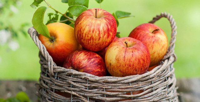 Để bụng đói ăn táo vào buổi sáng có nhiều lợi ích bất ngờ - Hình 2 De bung doi an tao vao buoi sang co nhieu loi ich bat ngo-Hinh-2