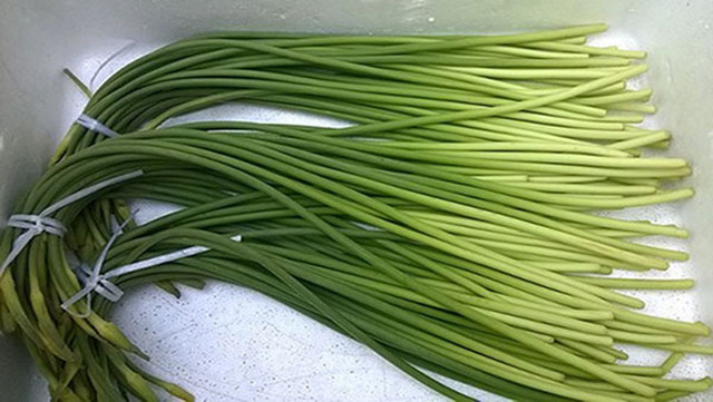 Rau ngong toi sanh ngang voi thuoc bo, chong ung thu-Hinh-5