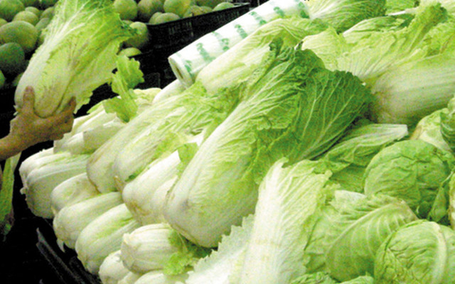 Tuyệt đối không nên mua loại cải thảo này dù rẻ đến mấy - Hình 7 Tuyet doi khong nen mua loai cai thao nay du re den may-Hinh-7