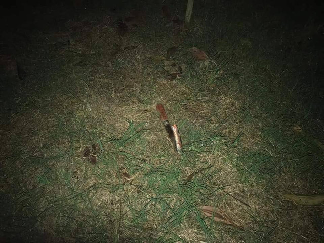 Dung dao bau dam ban gai roi cat co, uong thuoc diet co tu sat