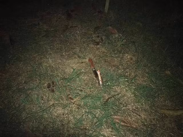 Dung dao bau dam ban gai roi cat co, uong thuoc diet co tu sat