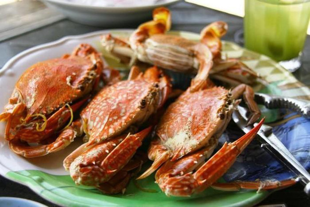 Đến Phú Quốc khi hết dịch, bạn không nên bỏ qua những món 'cực độc' này - Hình 4 Den Phu Quoc khi het dich, ban khong nen bo qua nhung mon 'cuc doc' nay-Hinh-4
