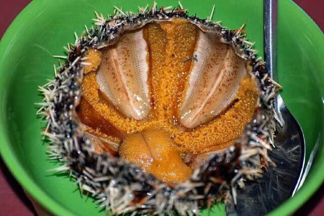 Den Phu Quoc khi het dich, ban khong nen bo qua nhung mon 'cuc doc' nay-Hinh-3