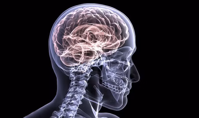 Uong tra hang ngay ban se thay co the phan ung nhu the nay-Hinh-6