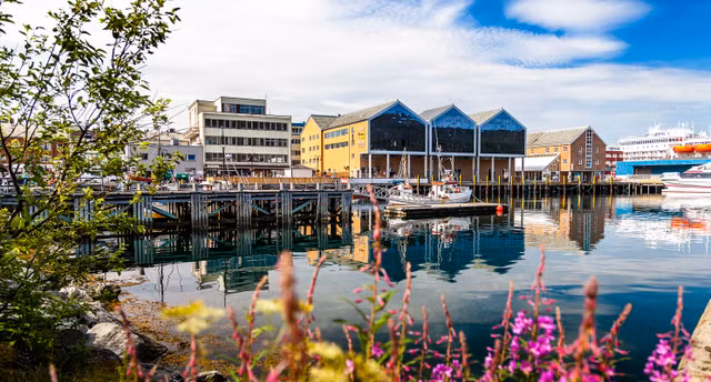 Nhung vung dat la lung, co noi khong thay hoang hon