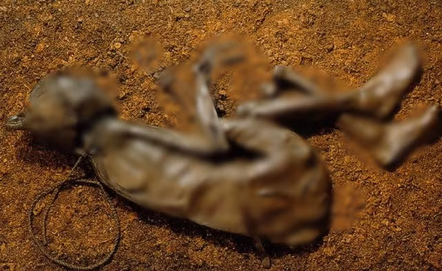 Kho tin nhung xac uop ven nguyen du trai qua hang thap ky-Hinh-9