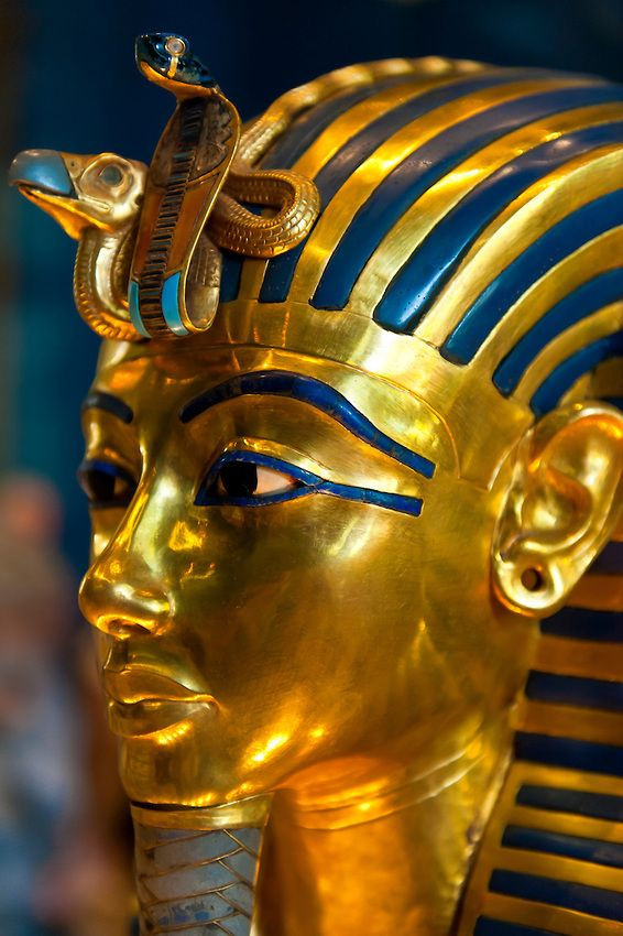 Tò mò “bảo bối” tránh thai trong lăng mộ pharaoh Ai Cập - Hình 6 To mo “bao boi” tranh thai trong lang mo pharaoh Ai Cap-Hinh-6