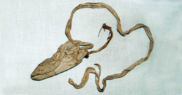 Tò mò “bảo bối” tránh thai trong lăng mộ pharaoh Ai Cập - Hình 4 To mo “bao boi” tranh thai trong lang mo pharaoh Ai Cap-Hinh-4