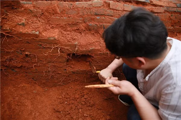 Bi an quan tai treo lo lung ben trong mo co hon 600 tuoi-Hinh-6