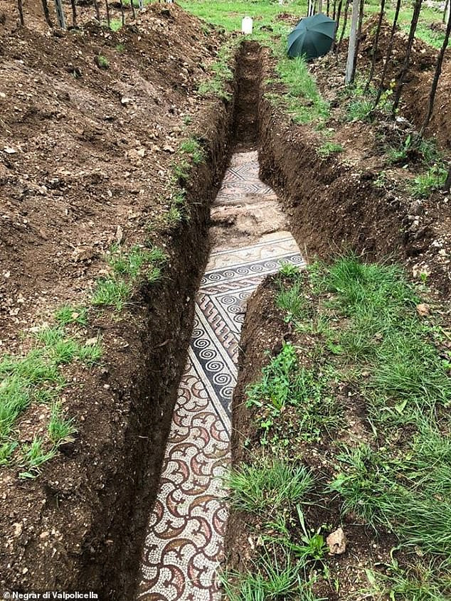 Lộ 'báu vật' của đế chế La Mã dưới vườn nho ở Italy - Hình 2 Lo 'bau vat' cua de che La Ma duoi vuon nho o Italy-Hinh-2