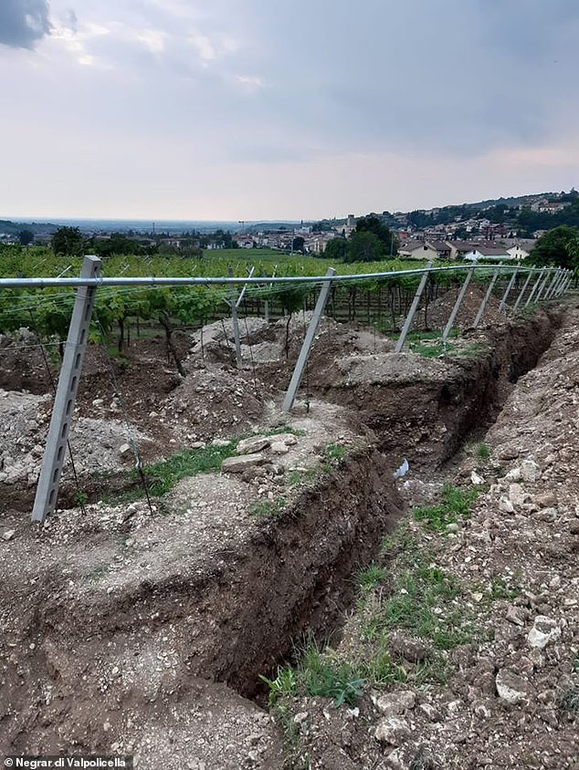 Lộ 'báu vật' của đế chế La Mã dưới vườn nho ở Italy - Hình 3 Lo 'bau vat' cua de che La Ma duoi vuon nho o Italy-Hinh-3