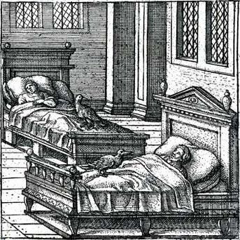 Giai thoại chim thần' Caladrius có khả năng chữa lành bệnh tật - Hình 5 Giai thoai chim than' Caladrius co kha nang chua lanh benh tat-Hinh-5